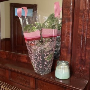 Variegated Pink Eureka Lemon in Floral Gift Bag